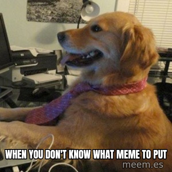 I have no idea what I'm doing - Dog with Tie meme: when you don't know what meme to put