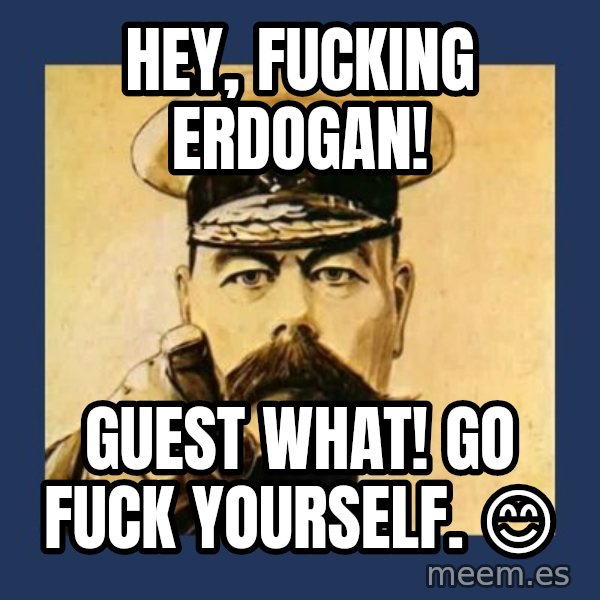 your country needs you meme: Hey, fucking Erdogan! / Guest what!   Go fuck yourself.  😊