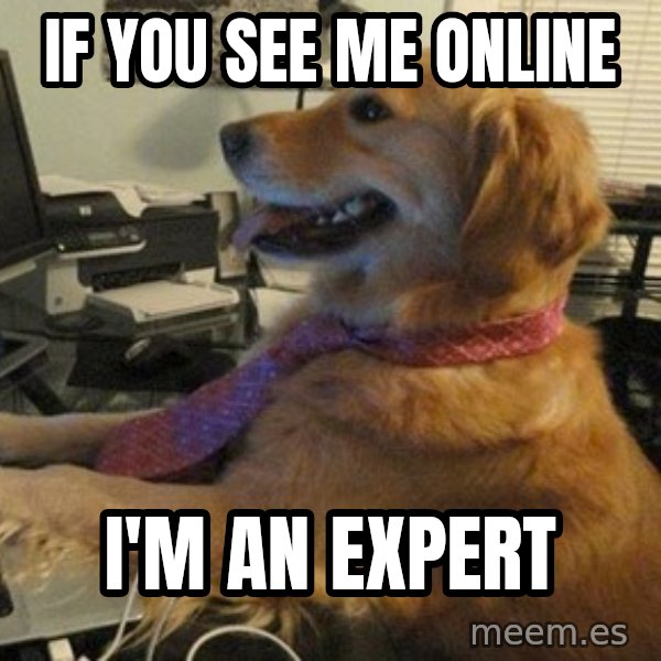 I have no idea what I'm doing - Dog with Tie meme: If you see me online / I'm an expert