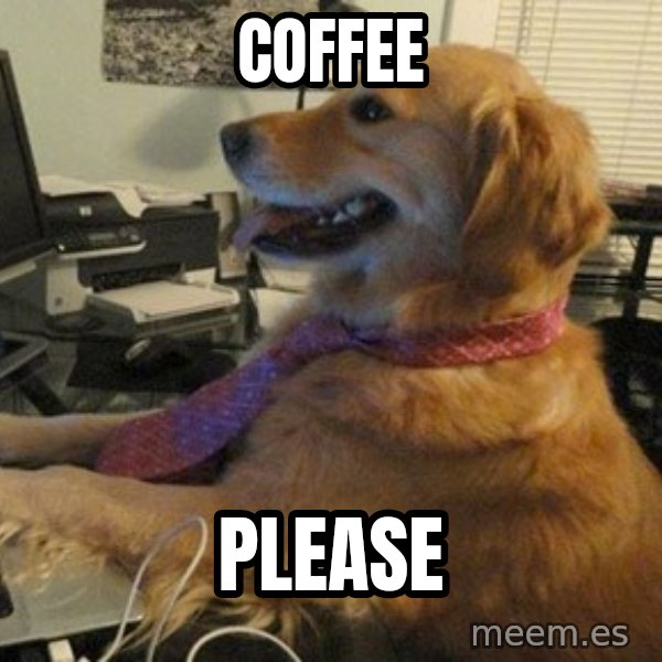 I have no idea what I'm doing - Dog with Tie meme: coffee / please