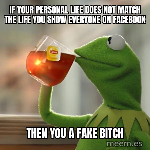 Kermit The Frog Drinking Tea meme: If your personal life does not match the life you show everyone on Facebook / Then you a fake bitch