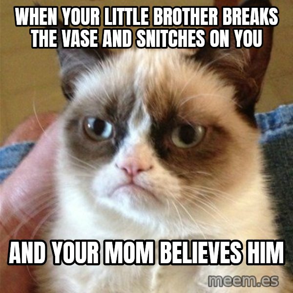 Grumpy Cat  meme: when your little brother breaks the vase aNd sNitches oN you / ANd your mom believes him