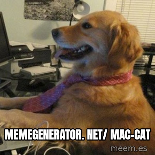 I have no idea what I'm doing - Dog with Tie meme: memegenerator. net/ mac-cat