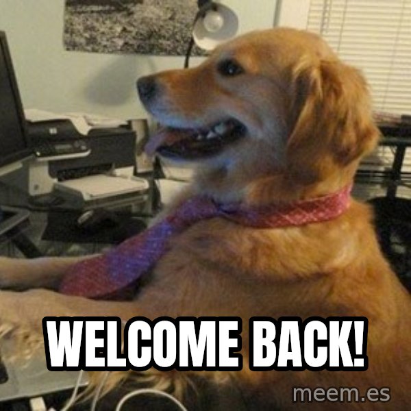 I have no idea what I'm doing - Dog with Tie meme: Welcome Back!