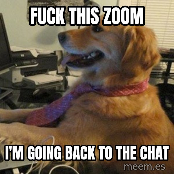 I have no idea what I'm doing - Dog with Tie meme: fuck this zoom / i'm going back to the chat