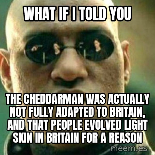 What If I Told You meme: what if I told you / the cheddarman was actually not fully adapted to britain, and that people evolved light skin in britain for a reason
