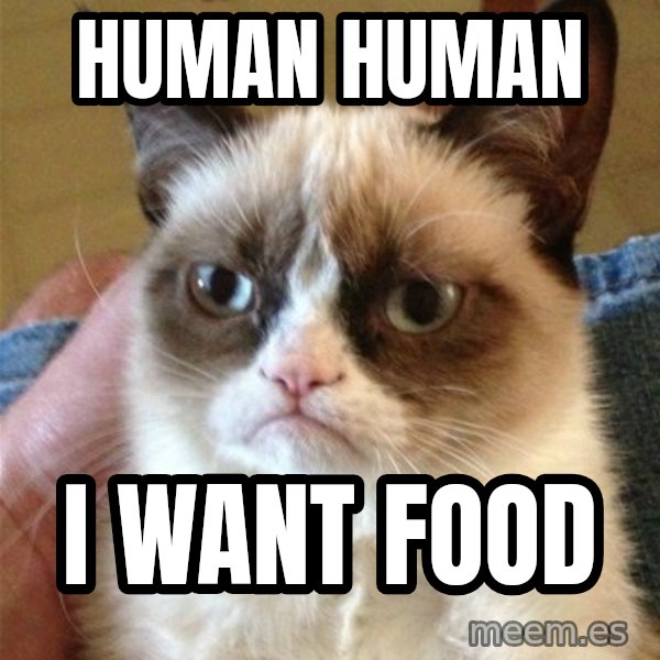 Grumpy Cat  meme: Human human / I want food