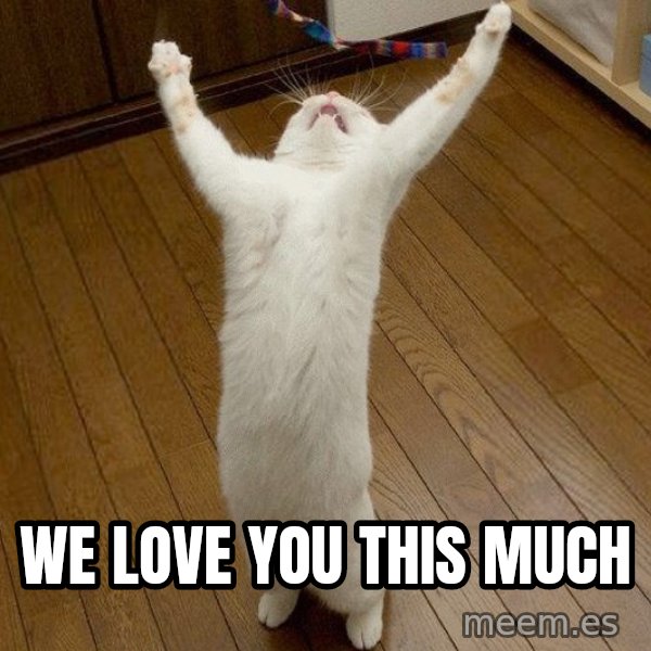 praise the lord cat meme: We love you THIS much