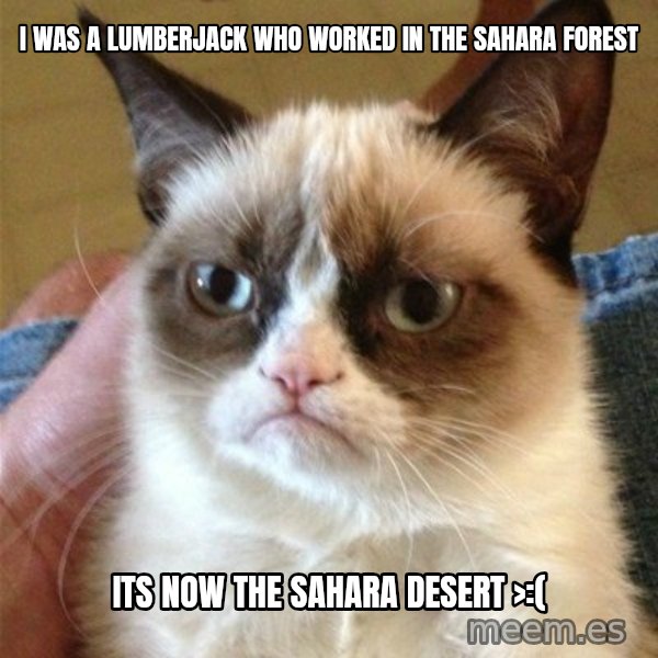 Grumpy Cat  meme: i was a lumberjack who worked in the sahara forest / its now the sahara desert >:(