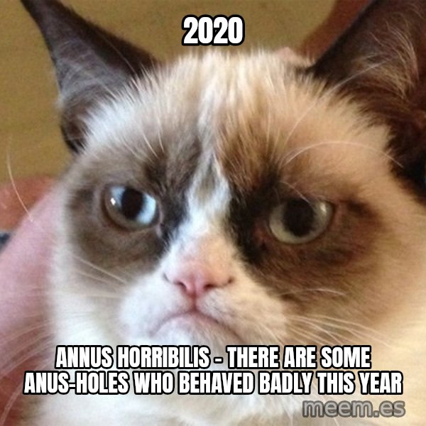 Angry Cat Meme meme: 2020 / Annus Horribilis - There are some Anus-Holes who behaved badly this year