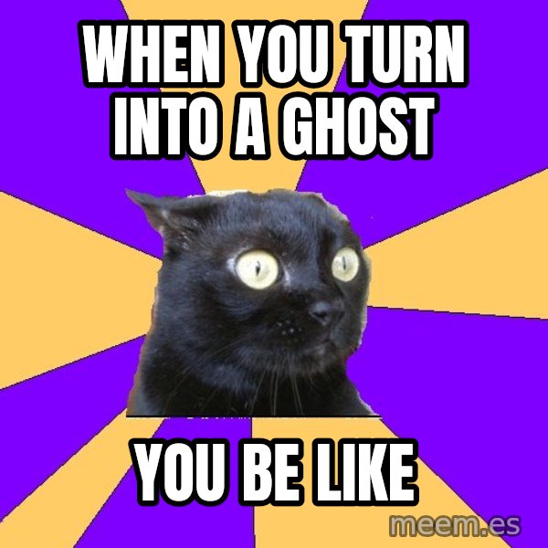 Anxiety Cat meme: when you turn into a ghost / you be like
