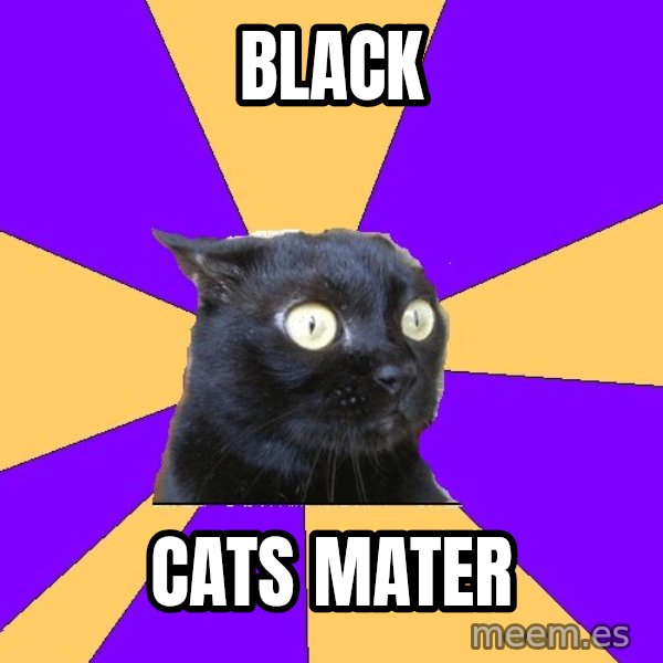 Anxiety Cat meme: black / cats mater