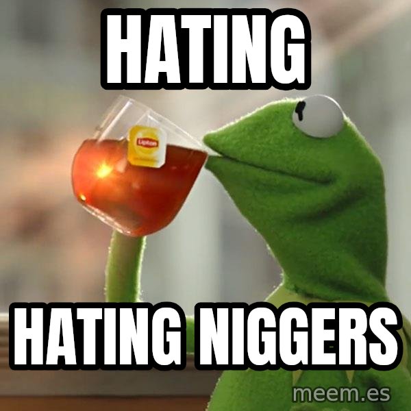 Kermit The Frog Drinking Tea meme: Hating / Hating niggers