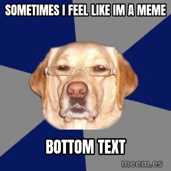 Racist Dog meme: sometimes i feel like im a meme / bottom text