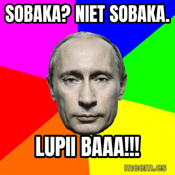 Putin Says meme: Sobaka? Niet sobaka. / Lupii baaa!!!