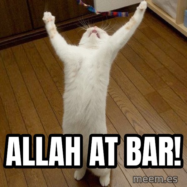 praise the lord cat meme: Allah at bar!
