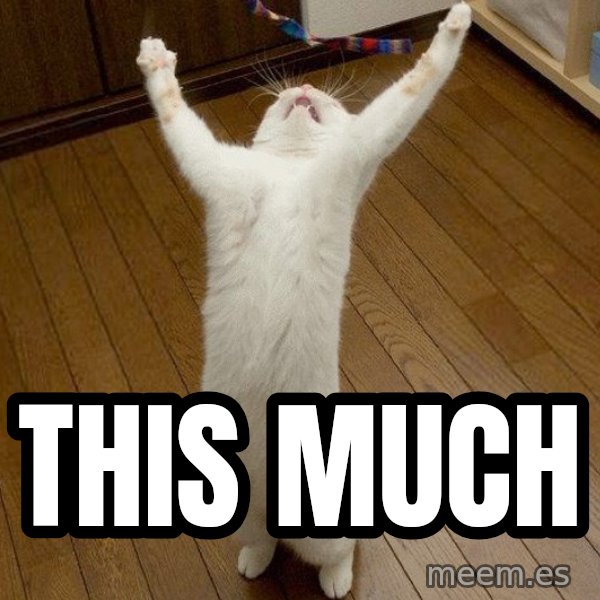 praise the lord cat meme: This much