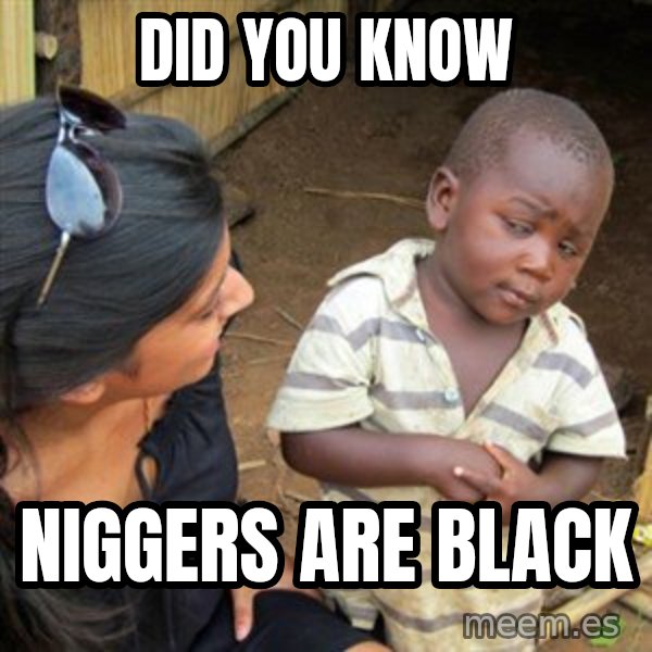 Skeptical 3rd World Kid meme: Did you know / Niggers are black