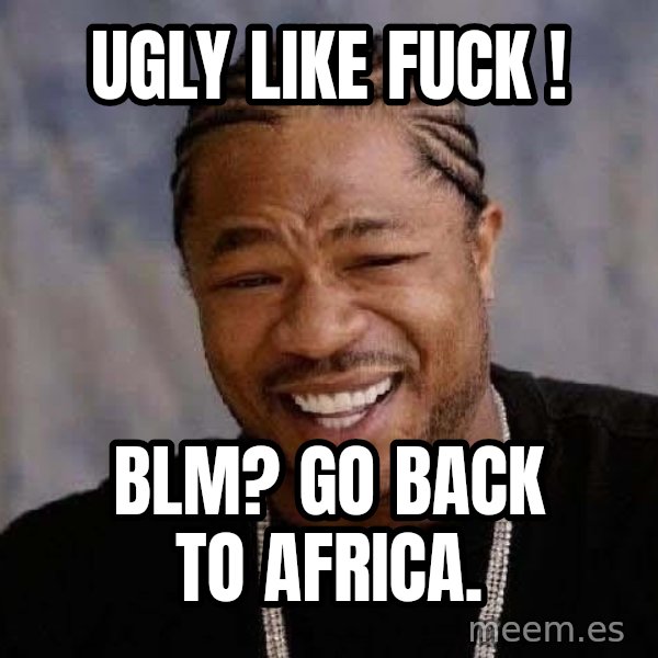 Yo Dawg meme: ugly like fuck ! / BLM?  Go back to Africa.