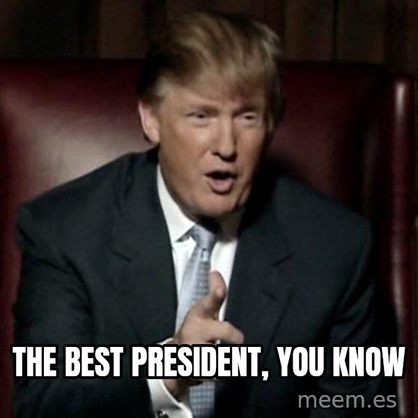 Donald Trump meme: The best president, you know