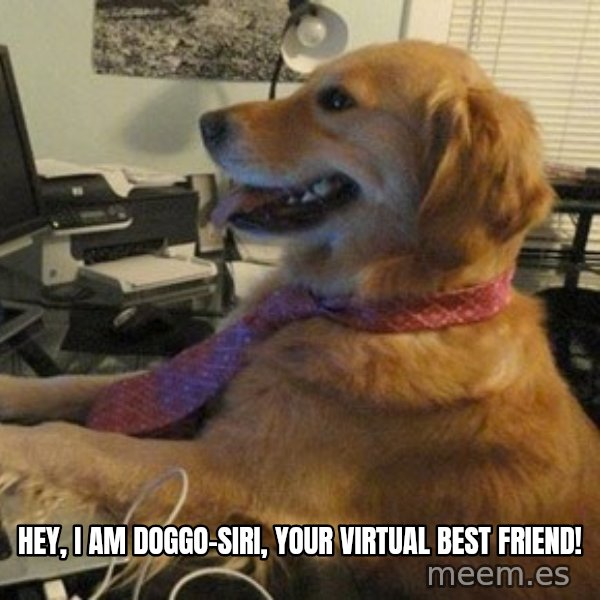 I have no idea what I'm doing - Dog with Tie meme: hey, i am doggo-siri, your virtual best friend!