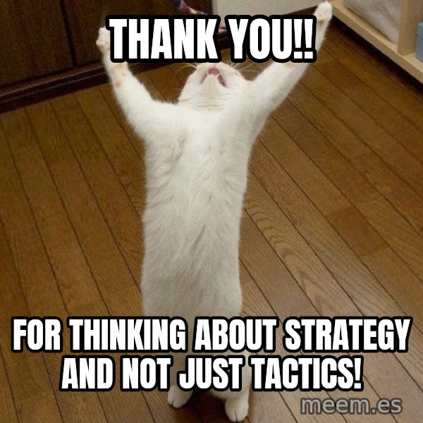 praise the lord cat meme: thank you!! / for thinking about strategy and not just tactics!