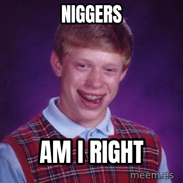 Bad Luck Brian meme: Niggers / Am i right