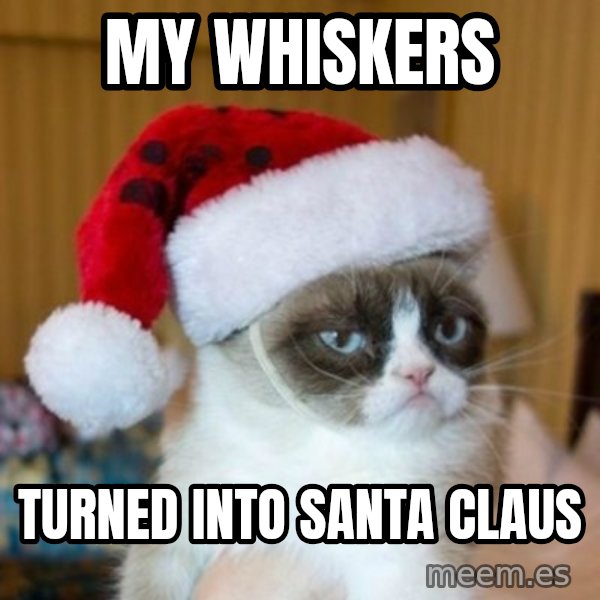 Grumpy Cat Santa Hat meme: My whiskers / turned into Santa Claus