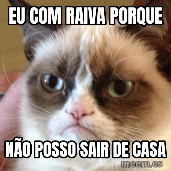 Angry Cat Meme meme: eu com raiva porque / não posso sair de casa