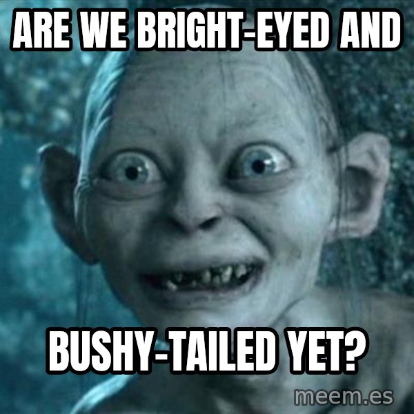 My Precious Gollum meme: Are we bright-eyed and / bushy-tailed yet?