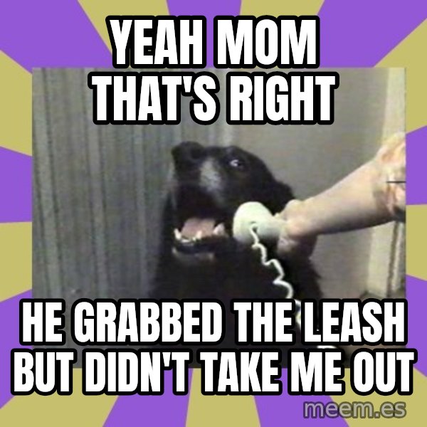Yes, this is dog! meme: Yeah Mom that's right / he grabbed the leash but didn't take me out