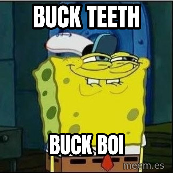 Spongebob Face meme: buck teeth / buck boi