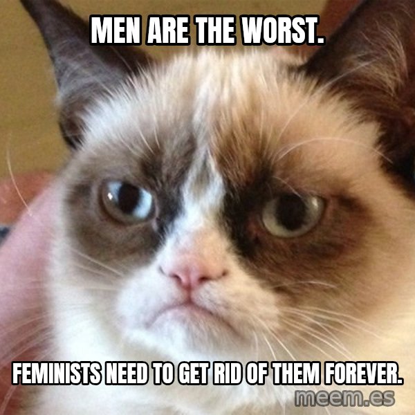 Angry Cat Meme meme: Men are the worst. / Feminists need to get rid of them forever.