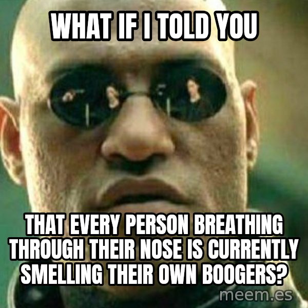 What If I Told You meme: What if I told you / That every person breathing through their nose is currently smelling their own boogers?