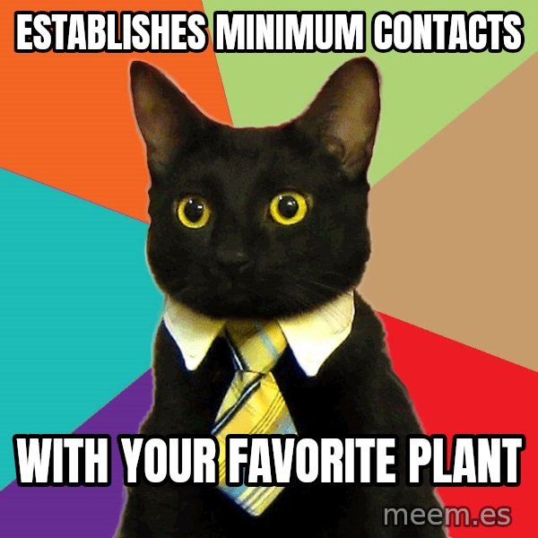 Business Cat meme: establishes minimum contacts / with your favorite plant