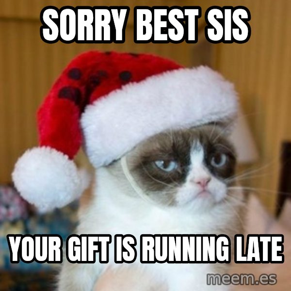 Grumpy Cat Santa Hat meme: Sorry best sis / Your gift is running late