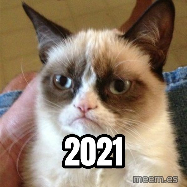 Grumpy Cat  meme: 2021