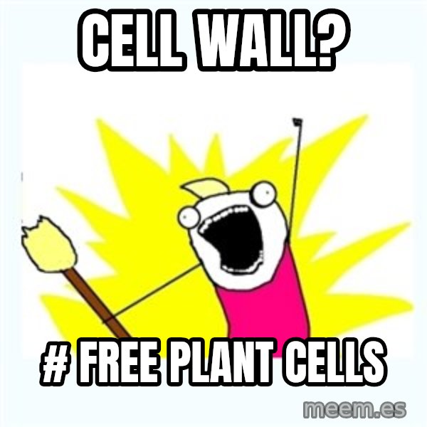 All the things meme: cell wall? / # free plant cells