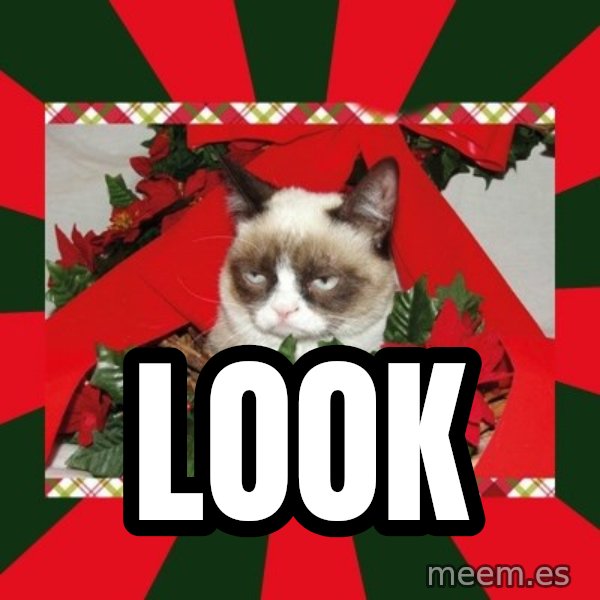GRUMPY CAT ON CHRISTMAS meme: Look