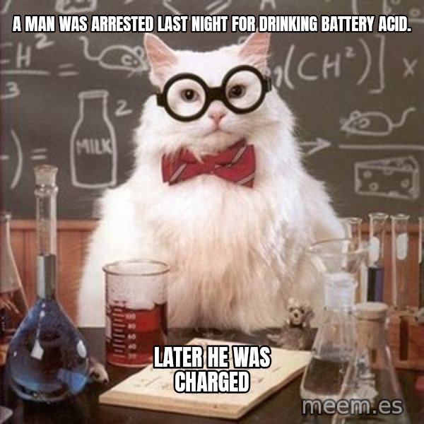 Chemistry Cat meme: A man was arrested last night for drinking battery acid. / Later he was charged
