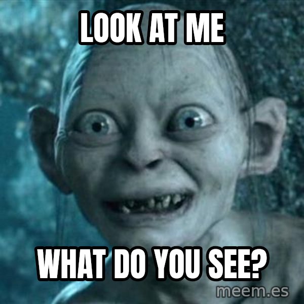 My Precious Gollum meme: Look at me / What do you see?