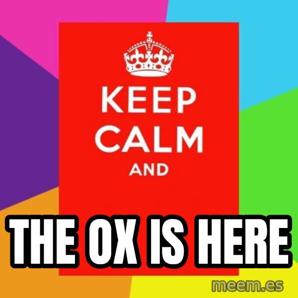 Keep calm and meme: the ox is here