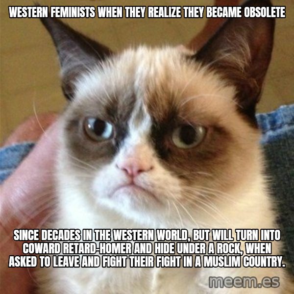 Grumpy Cat  meme: western feminists when they realize they became obsolete / since decades in the western world, but will turn into coward retard-homer and hide under a rock, when asked to leave and fight their fight in a muslim country.