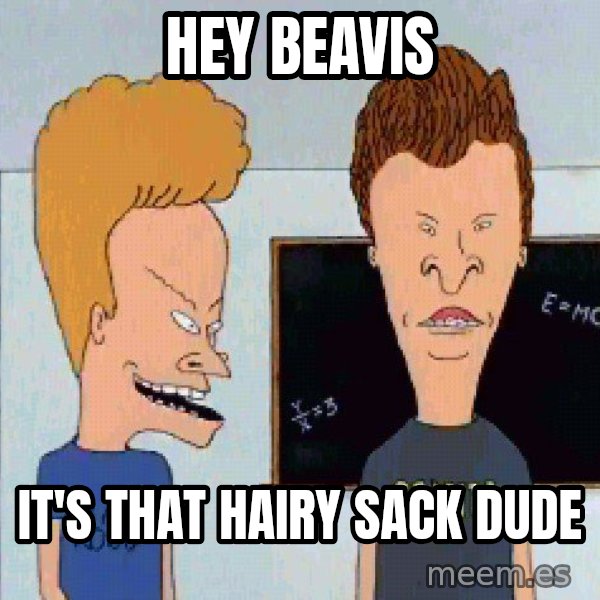 Beavis and butthead meme: HEY BEAVIS / IT'S THAT HAIRY SACK DUDE