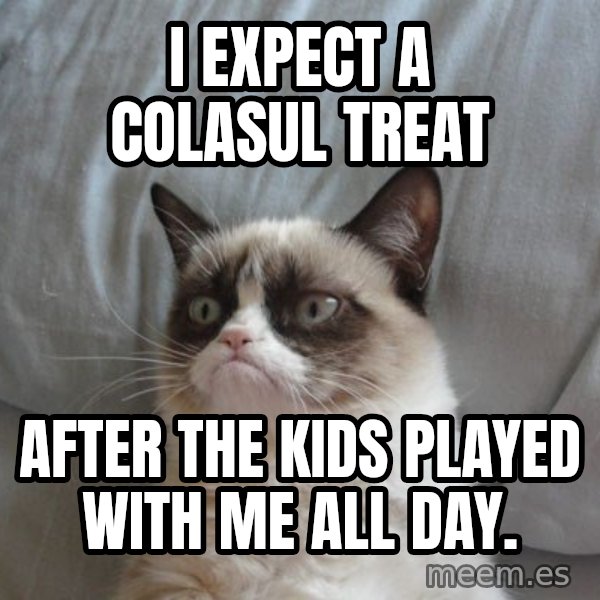 Grumpy cat good meme: I expect a colasul treat / after the kids played with me all day.