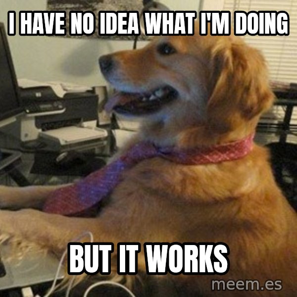 I have no idea what I'm doing - Dog with Tie meme: I have no idea what I'm doing / but it works