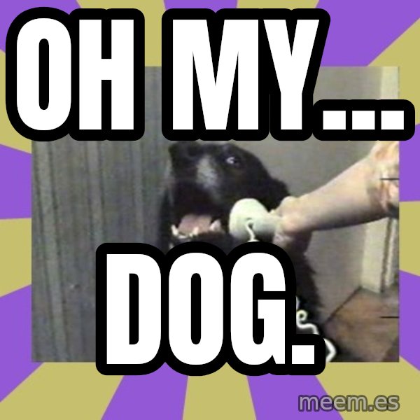 Yes, this is dog! meme: Oh my... / dog.