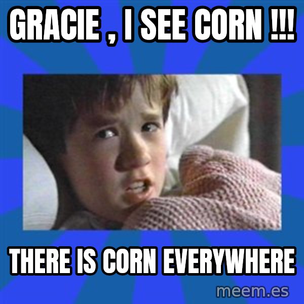 i see dead people meme: Gracie , I see Corn !!! / There is corn everywhere
