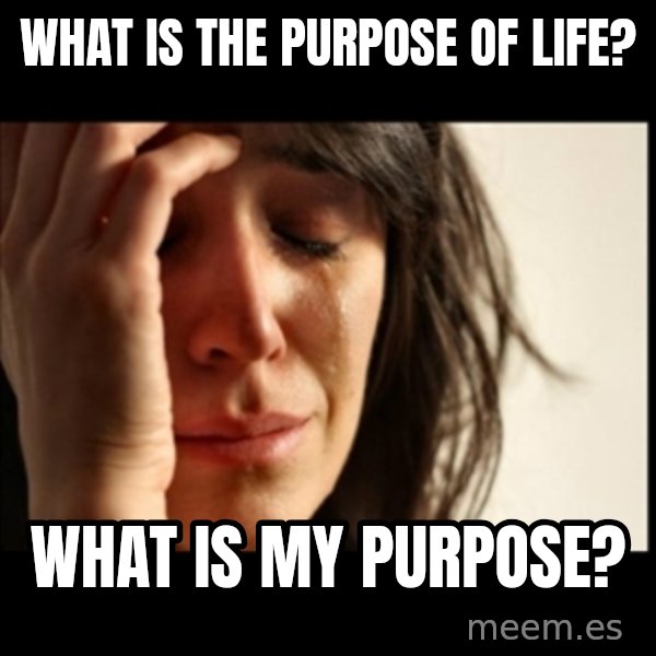 First World Problems meme: What is the purpose of life? / What is my purpose?