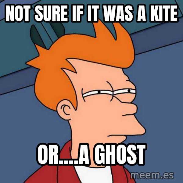Futurama Fry meme: Not sure if it was a kite / Or....a ghost